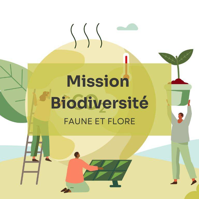 Activité pour sensibiliser les étudiants à la préservation de l'environnement