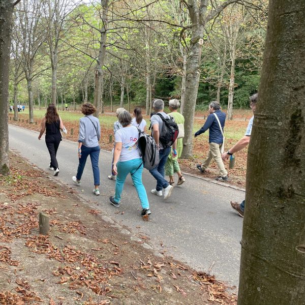 Clean walk entreprise