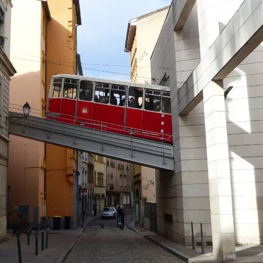 Votre team building insolite à Lyon : qui prendra la meilleur photo ?