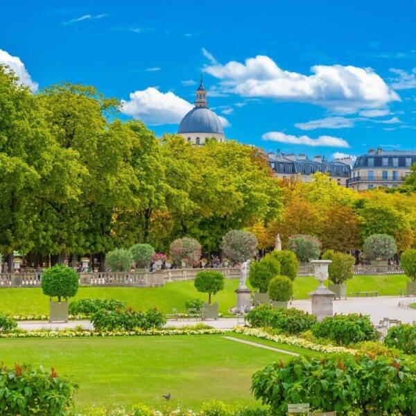 Team building RSE Paris : sélection d’activités responsables