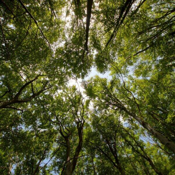 Challenge environnement entreprise : sélection d’activités