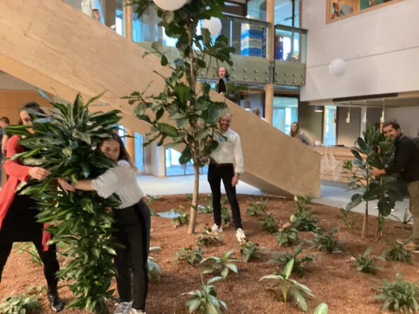 Participants réalisant une photo originale avec des plantes vertes dans des bureaux