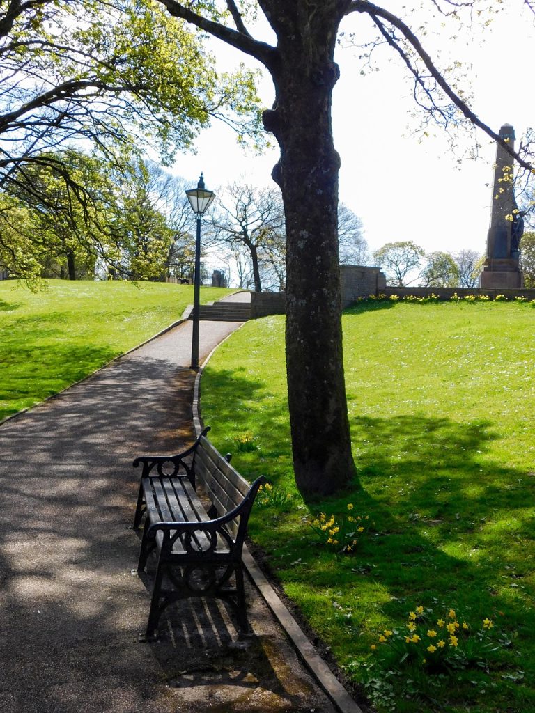 Photo d'un banc marron dans un parc