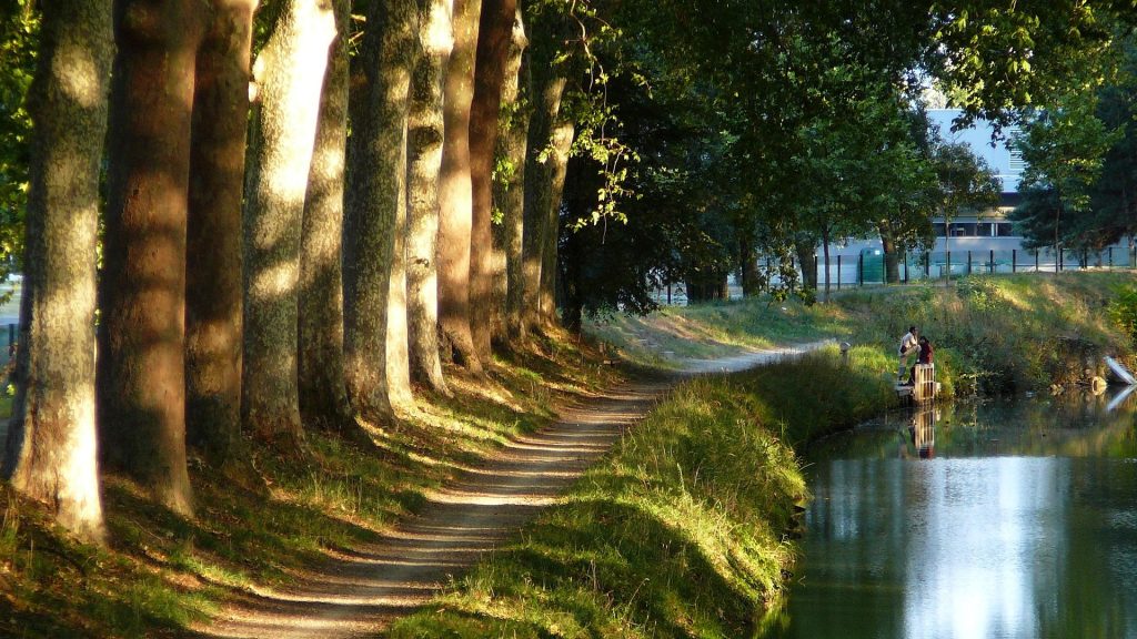 Canal, Arbres, Sentier