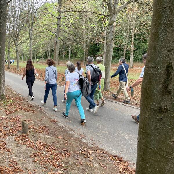 Clean walk entreprise