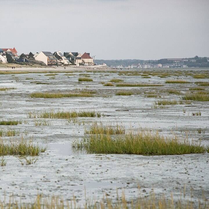 Lieu de séminaire sur la Côte d’Opale : 5 idées originales à découvrir Lieu de séminaire sur la Côte d’Opale : 5 idées originales à découvrir