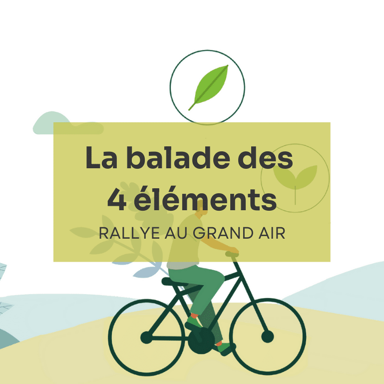 Activité de team building RSE : bien-être et nature