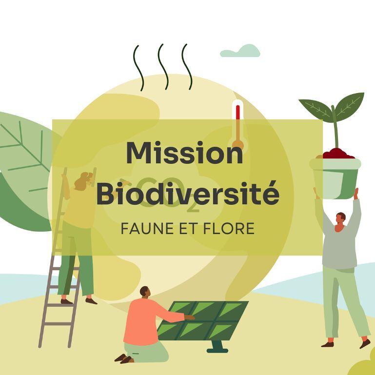 Activité sur la biodiversité pour la semaine de la Qualité de Vie au travail