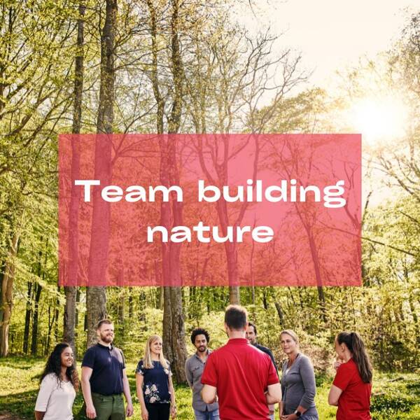 Team Building Nature : notre offre d’activités