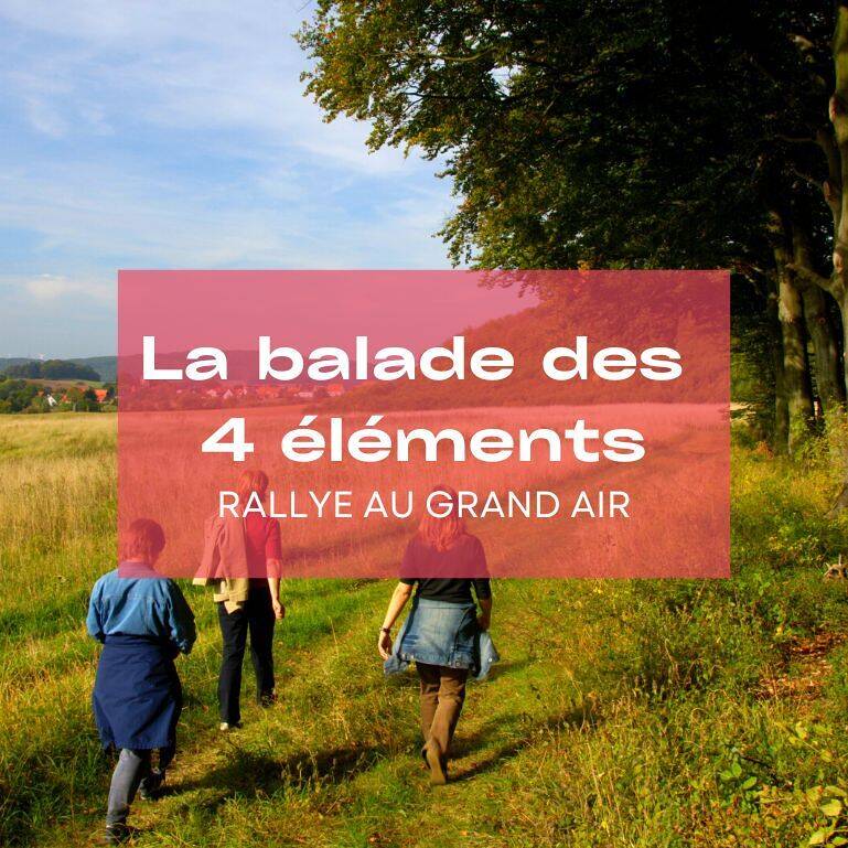 Balade en plein air pour un séminaire nature